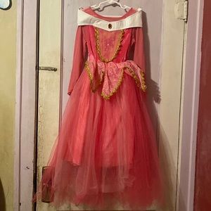 Sleeping beauty princess dress